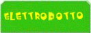 ELETTRODOTTO